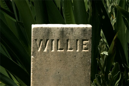 6a010535bf3807970c01157021b6b6970b-800wi